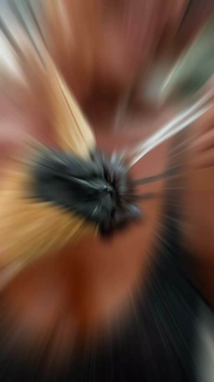 @barbara