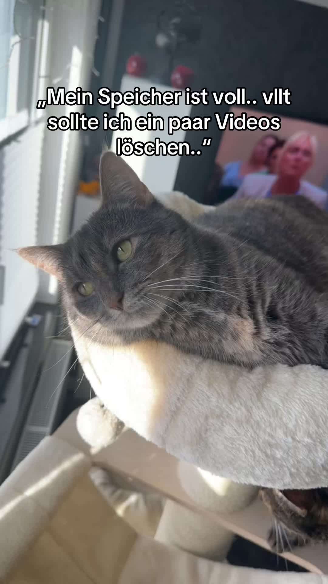 @Happykittycats_