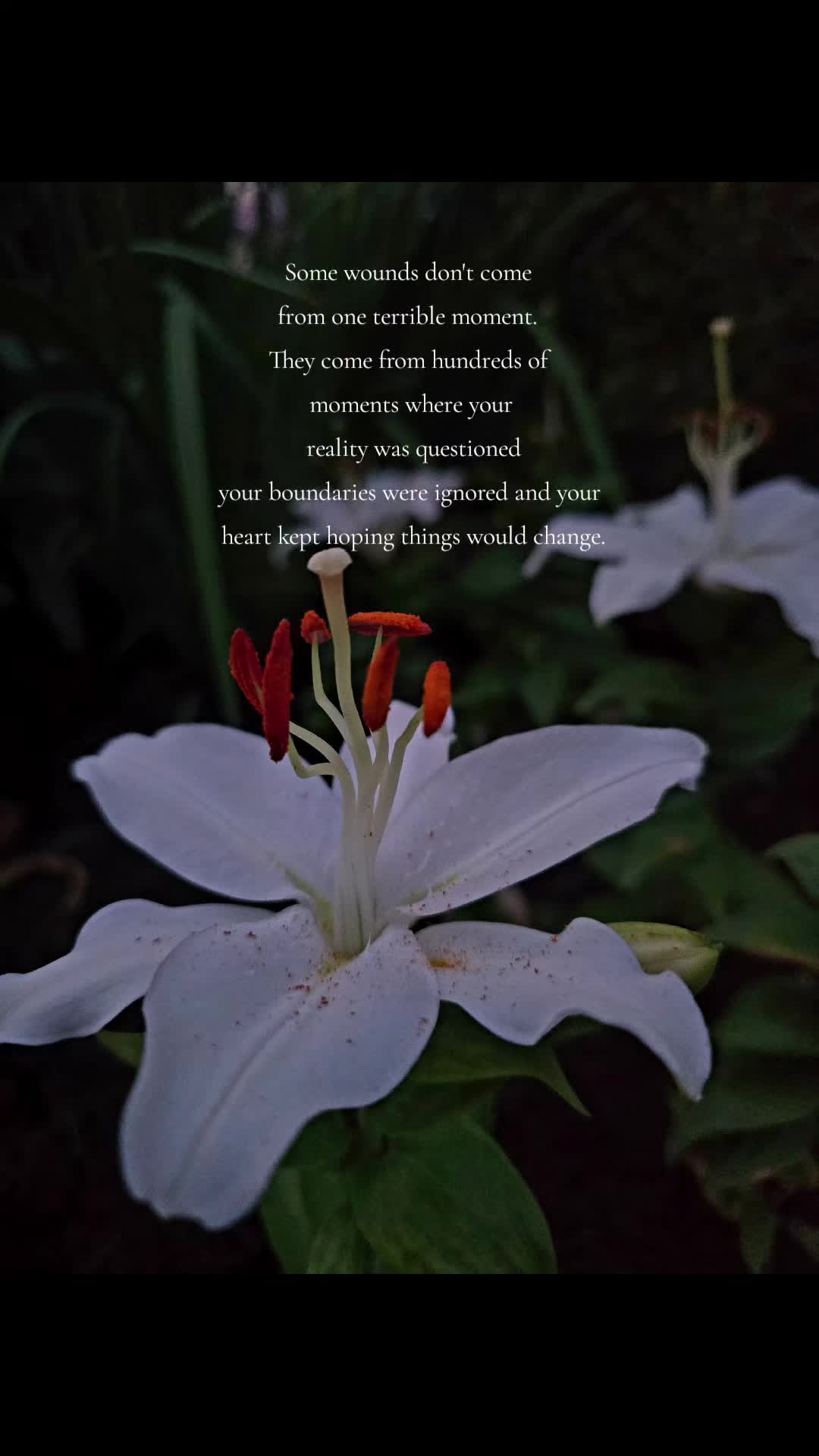 @amber83eternalroot