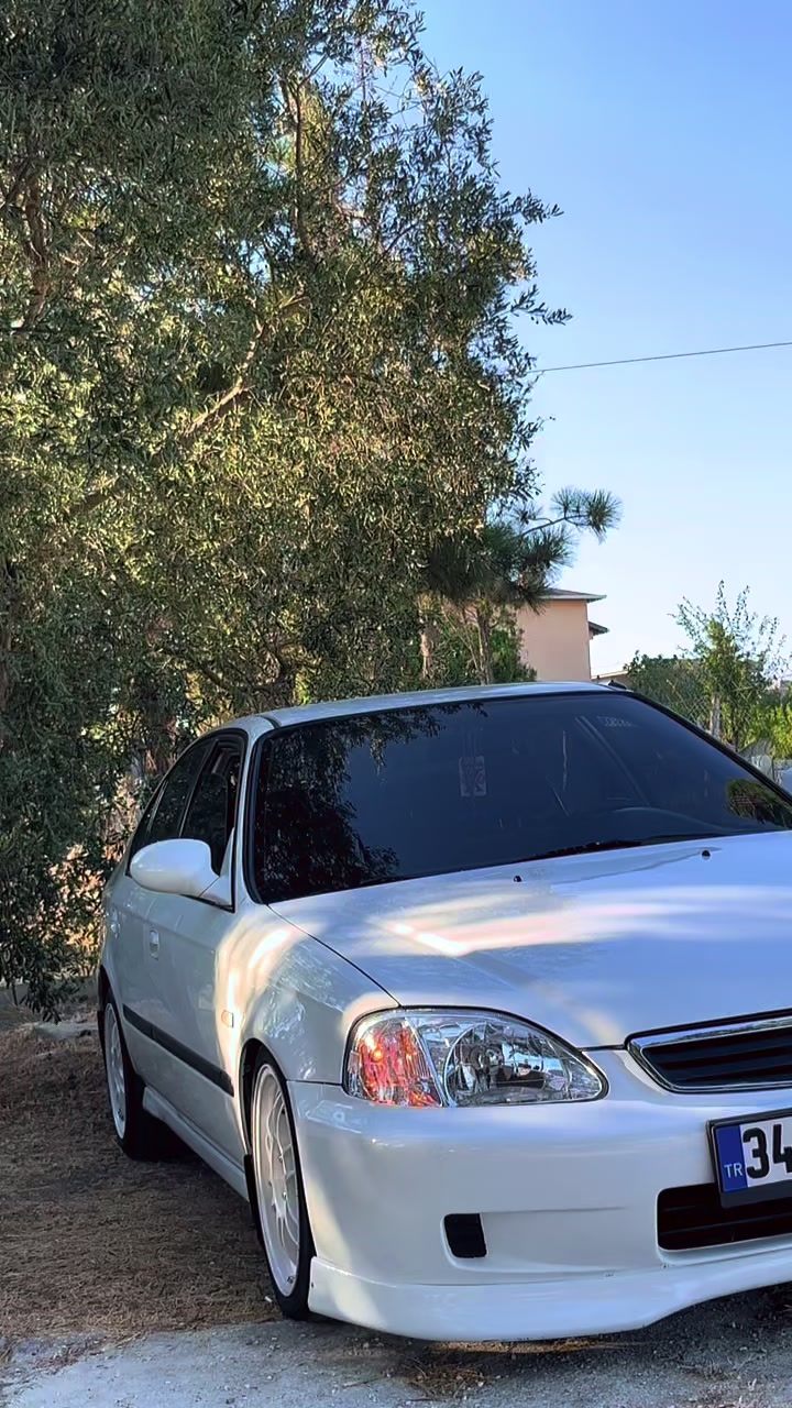 @erol.pmt367