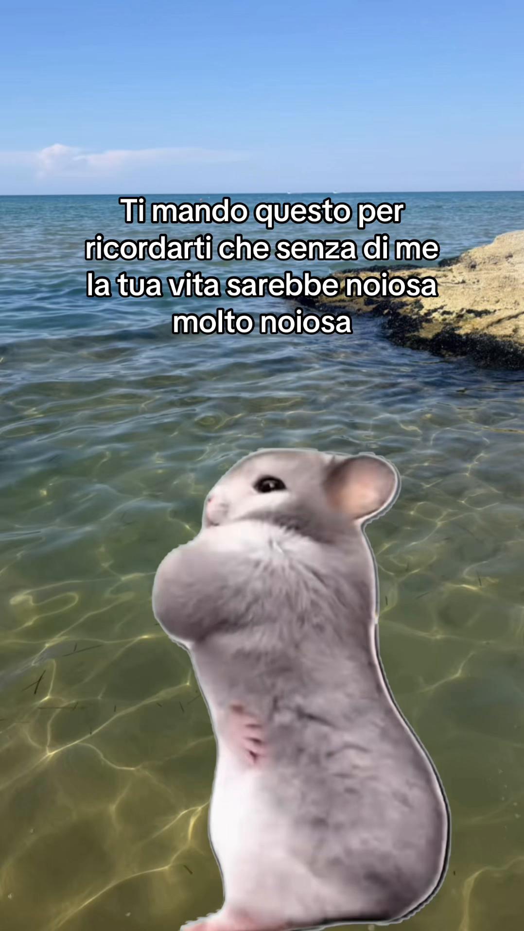 @𝙵𝚁𝙰𝙽𝙲𝙴𝚂𝙲𝙰🌕🫧🌻