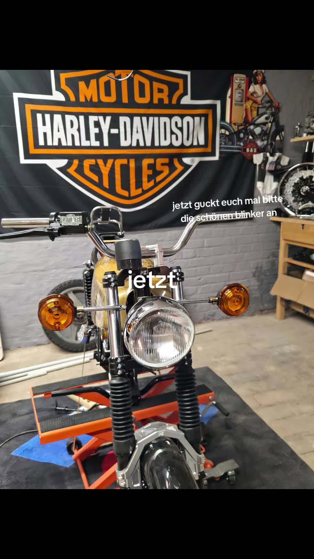 @Harley Simson
