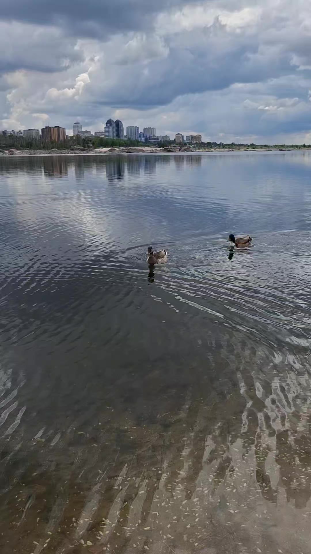 @Анюта Цыганок915