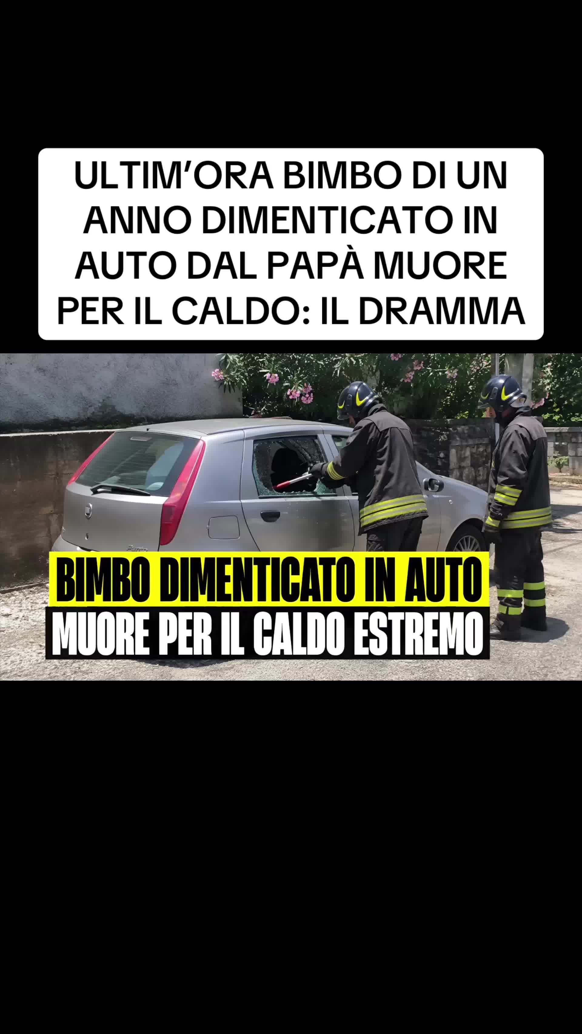 @flashtv_notizie