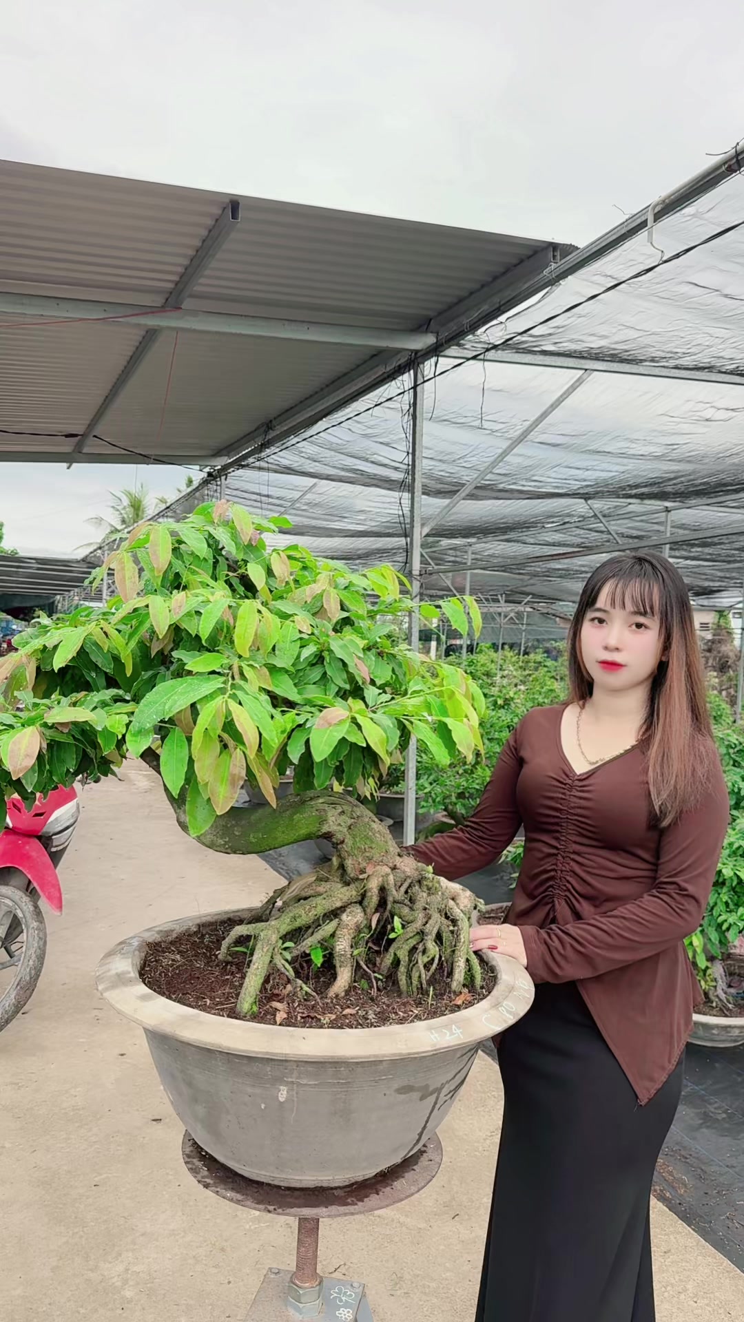 @Chichchoebong79