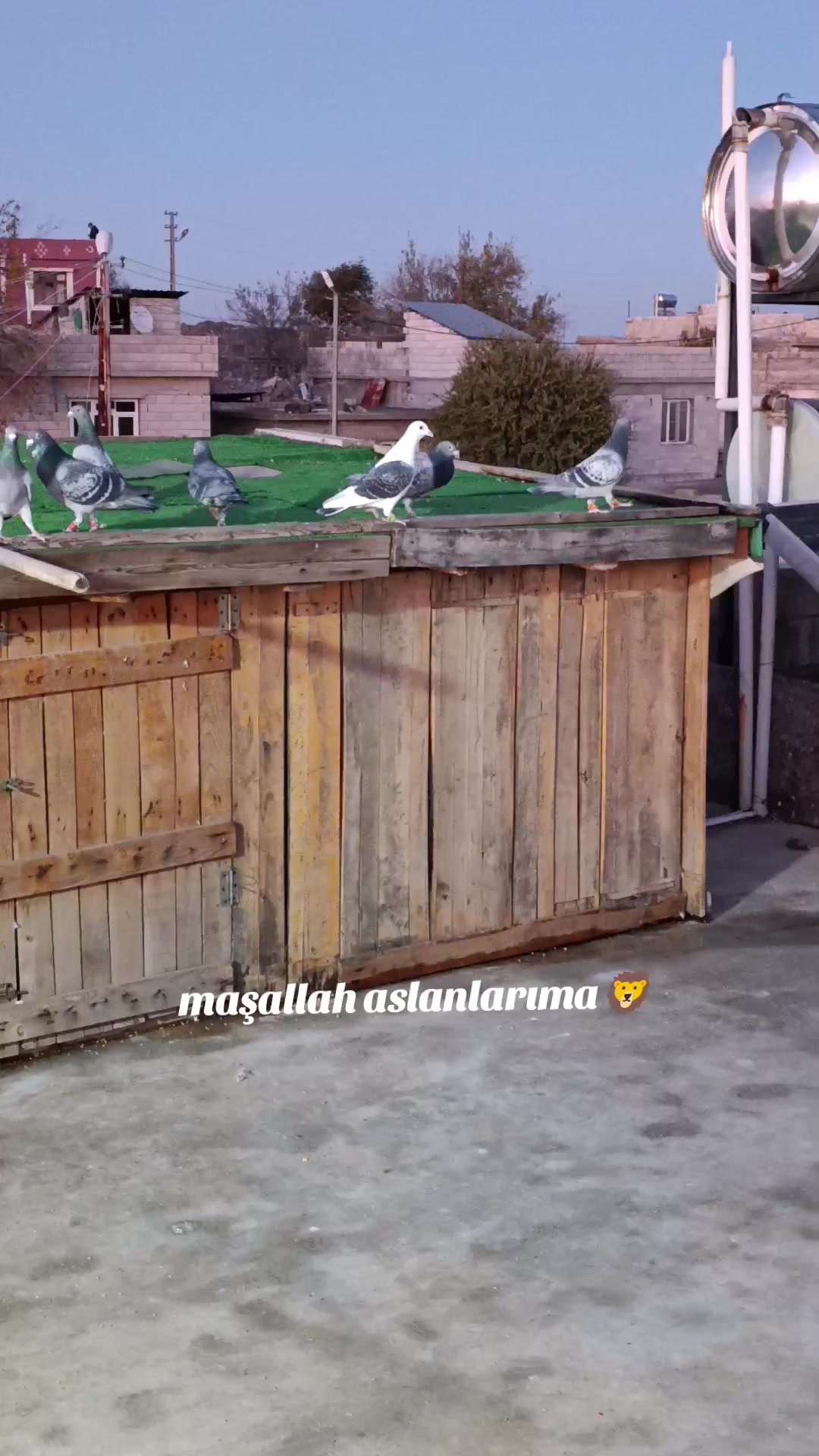 @👑 postacı 👑