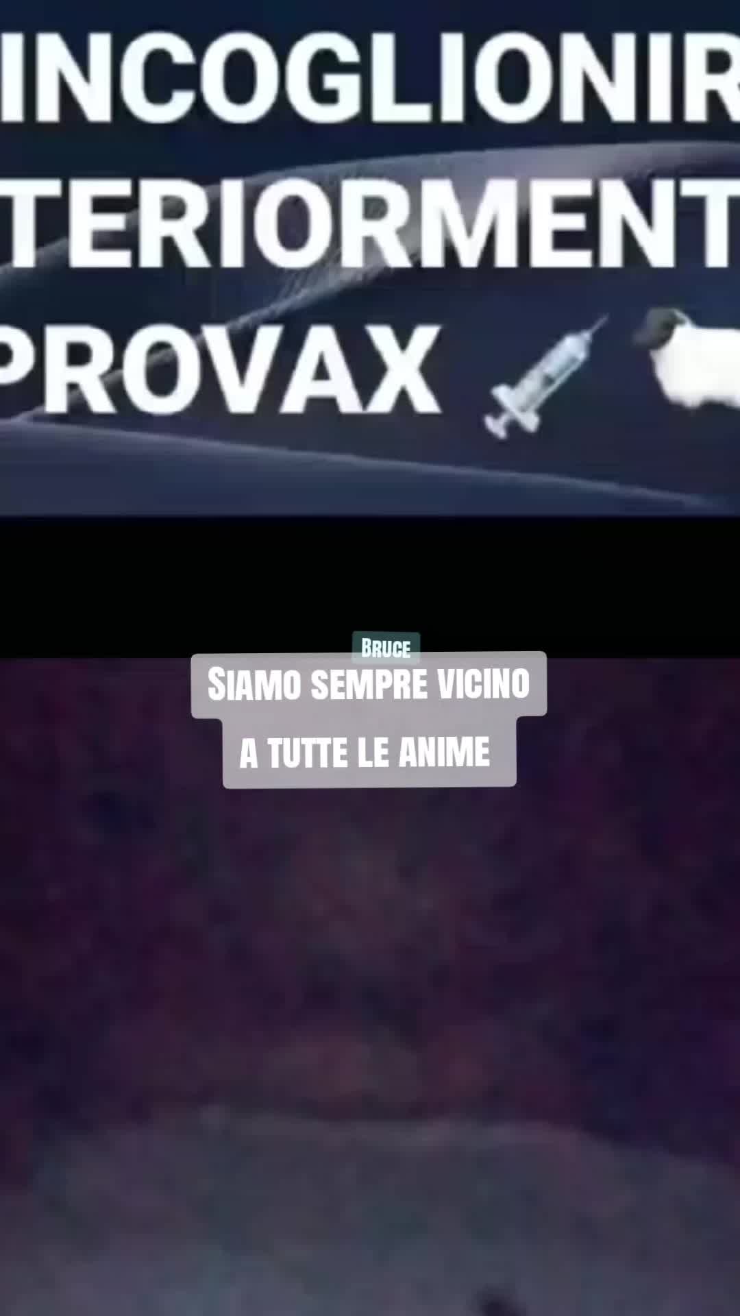 @BRUCE🇮🇹