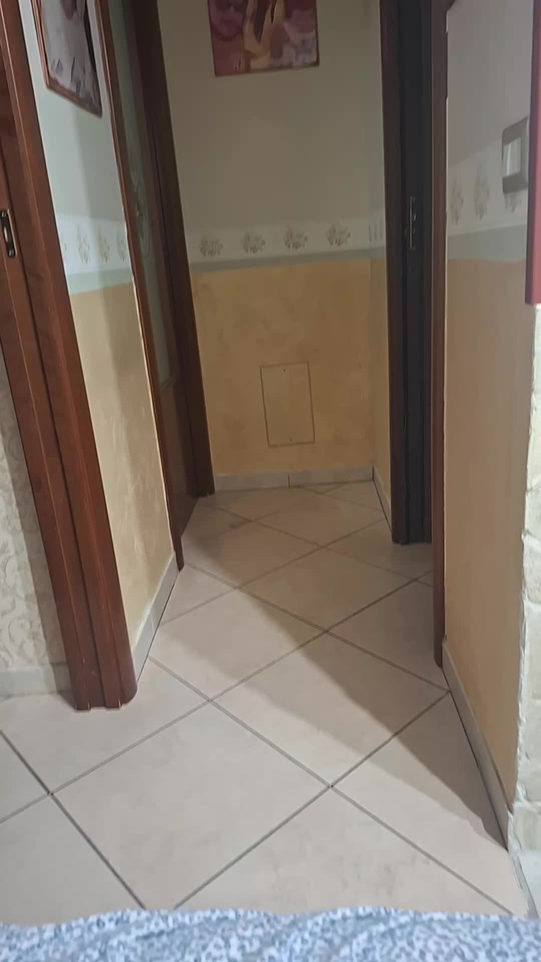 @Emanuela Maravolo