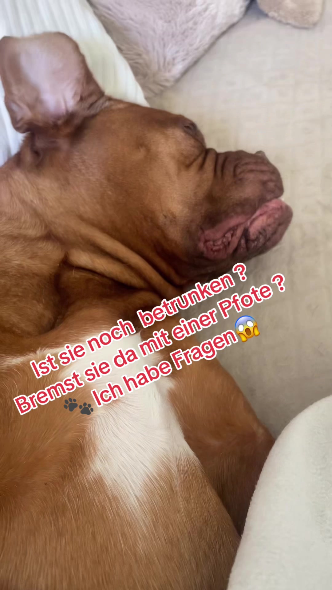 @Marleene🐶