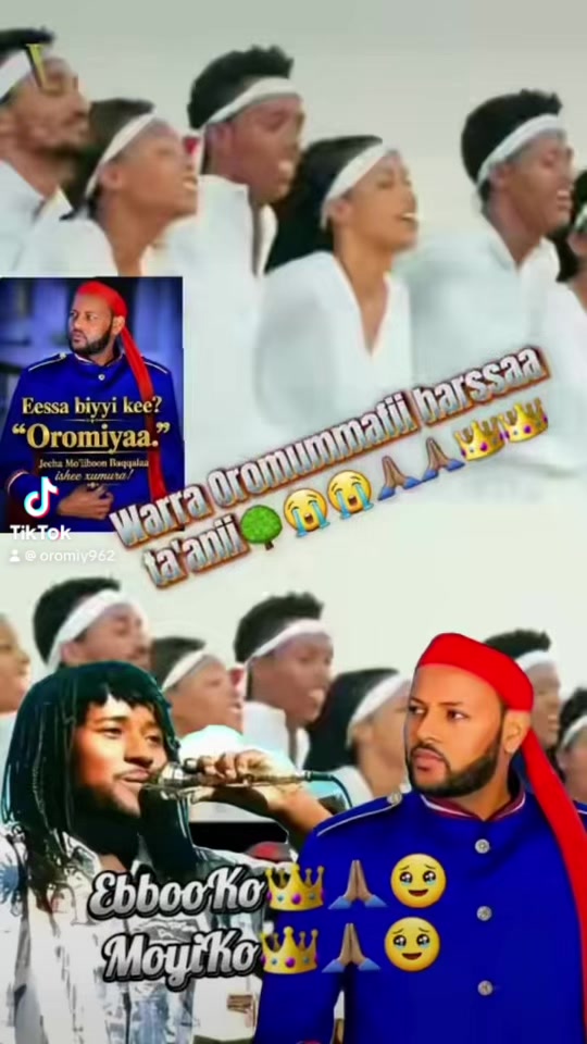 @TakittiAbbaadhoo♥️4💚3♥️0🌳