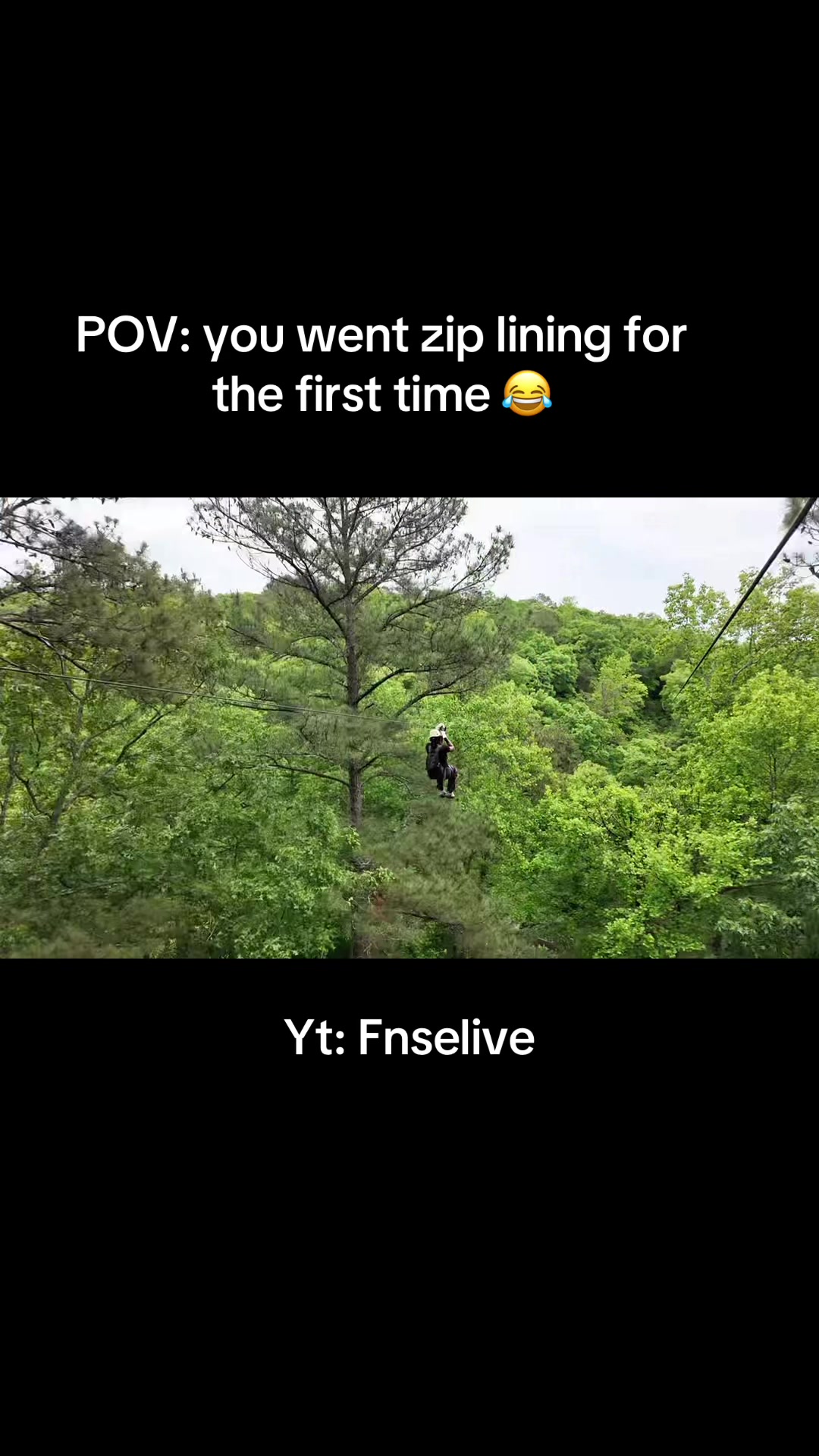 @Fnse
