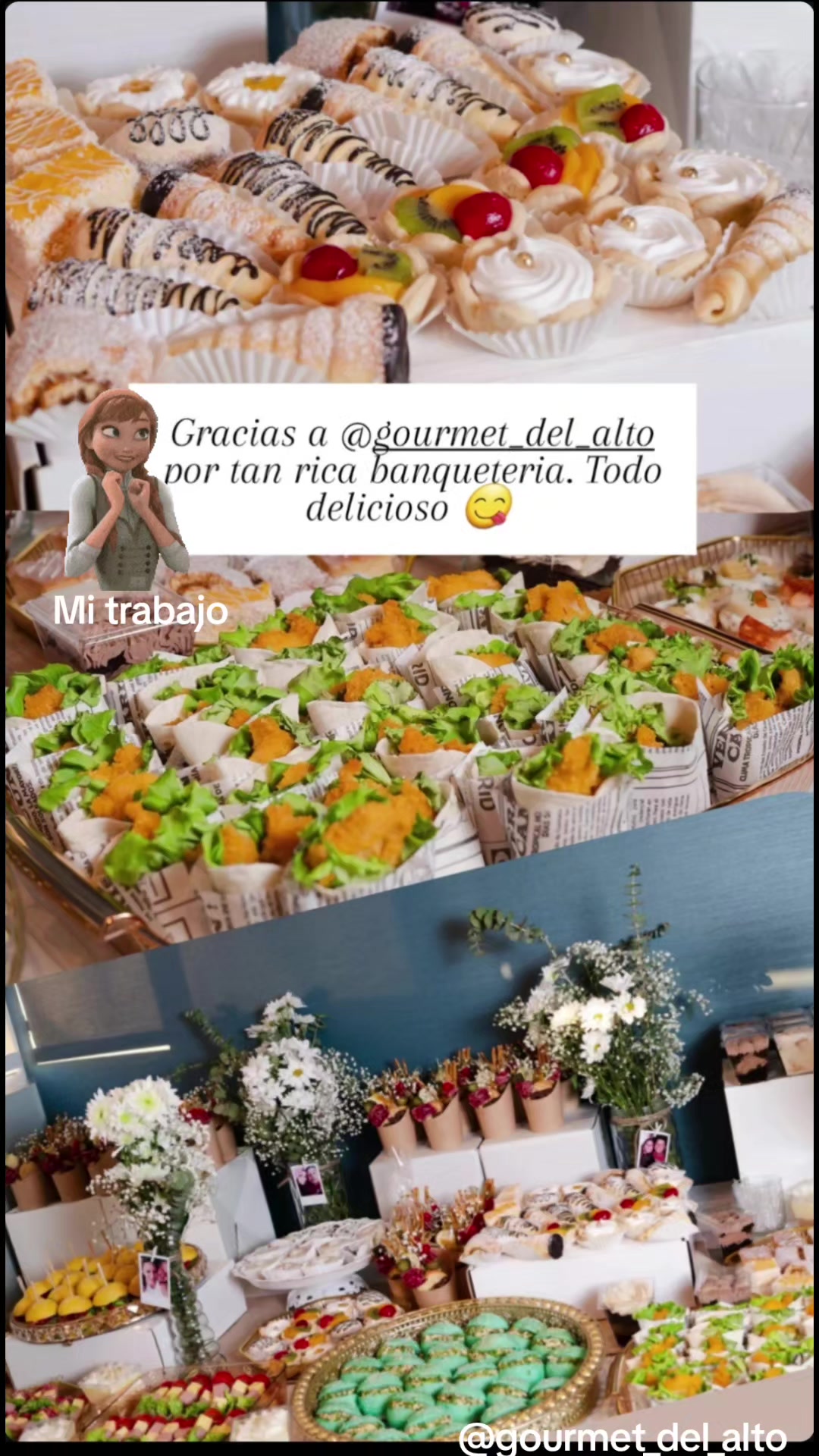 @🇨🇱 GOURMET DEL ALTO Tutti