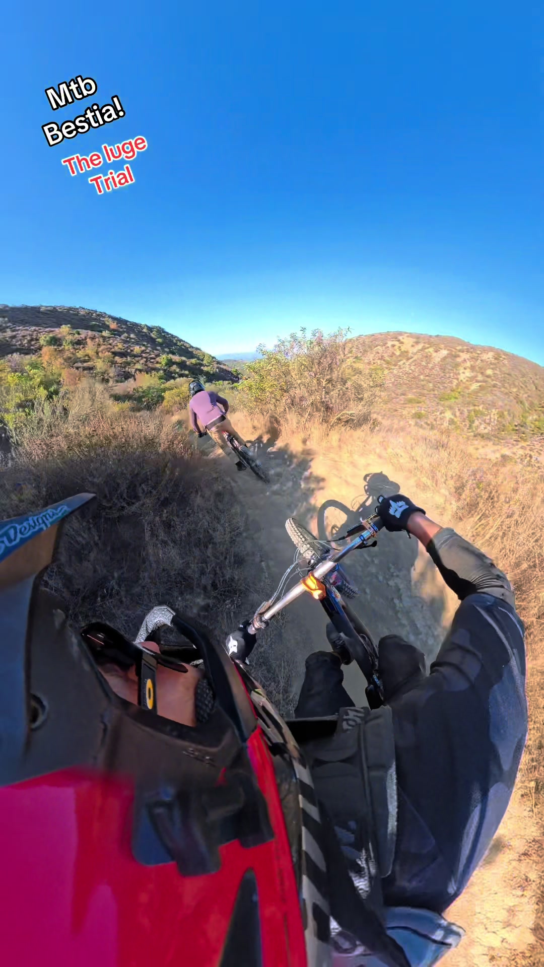 @Mtb BESTIA!