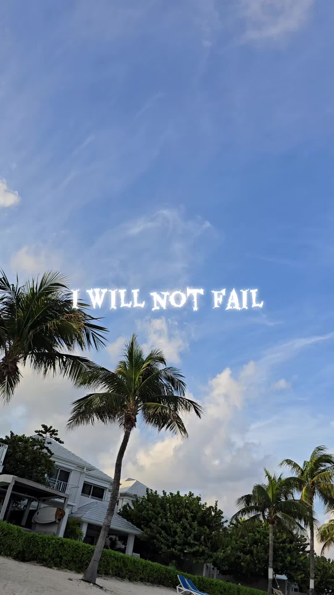 @Lady_Todd