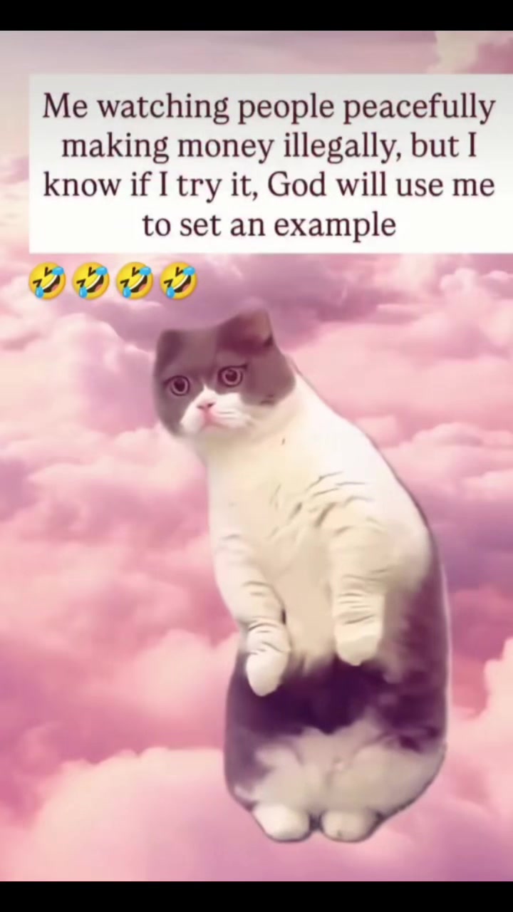 @✅✅286✅✅