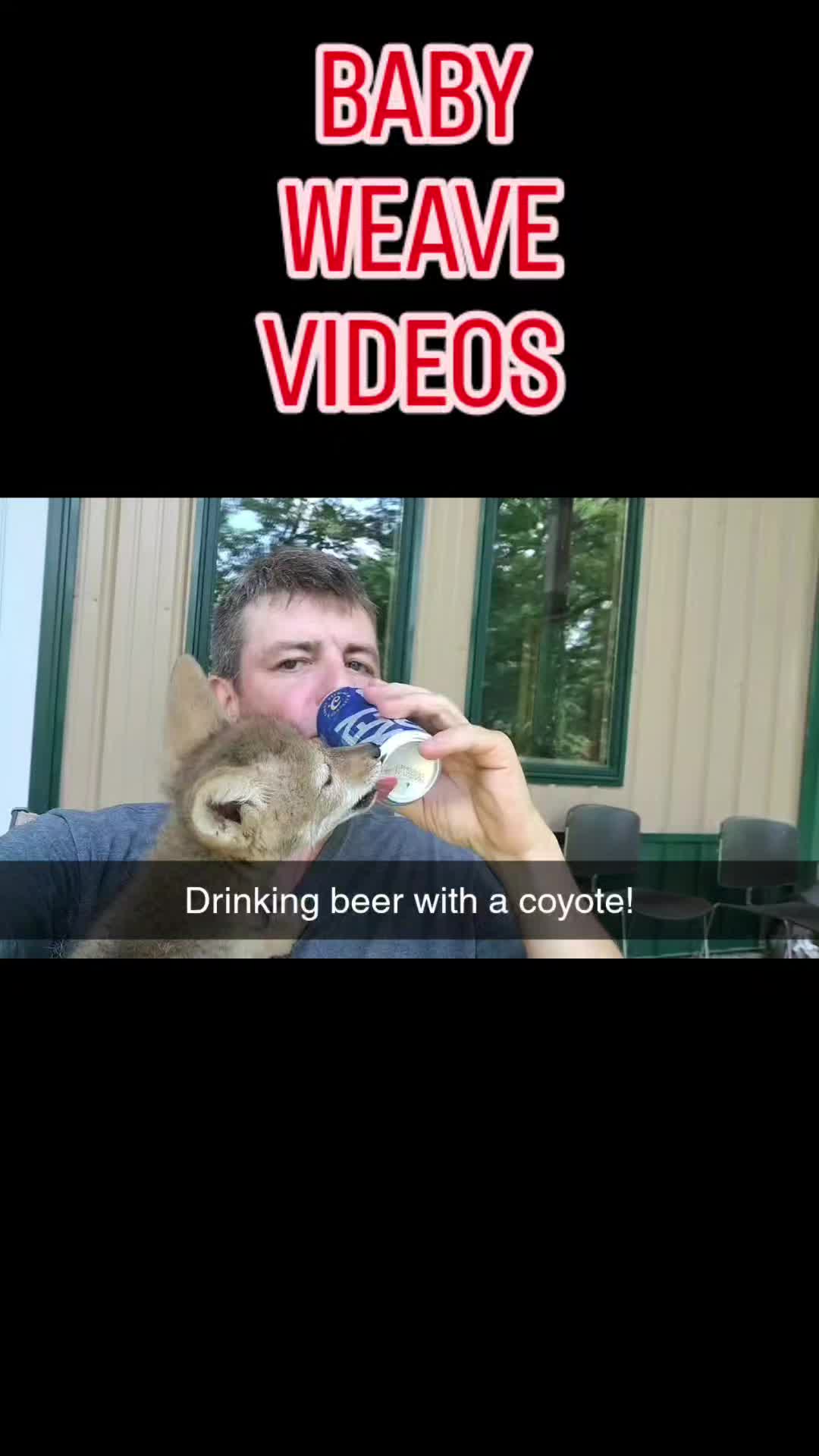 @Timmy Mc