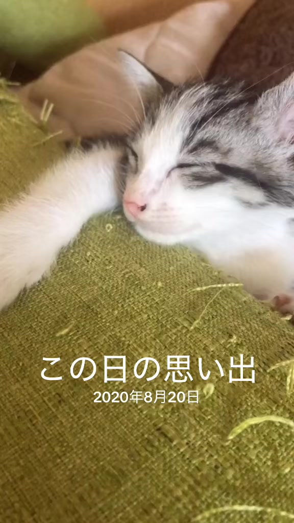 @♪♪ナォ♪♪