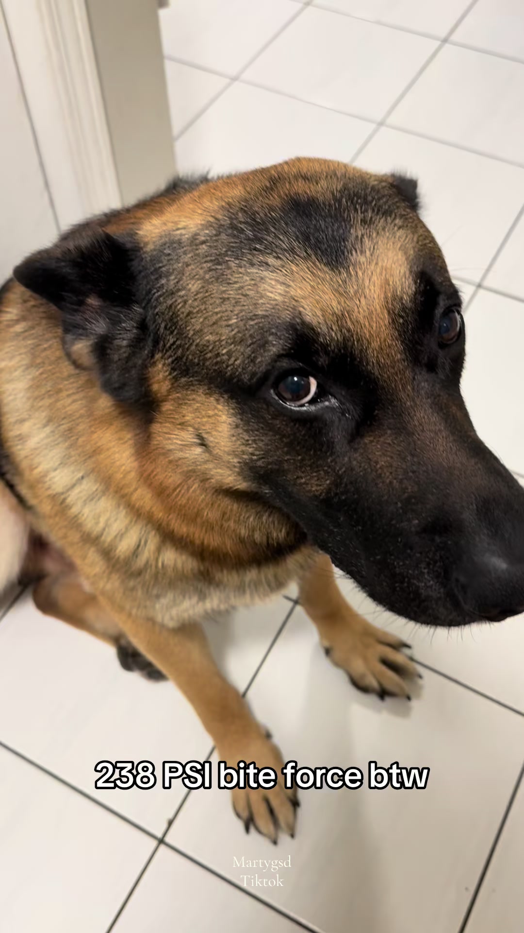 @Martygsd