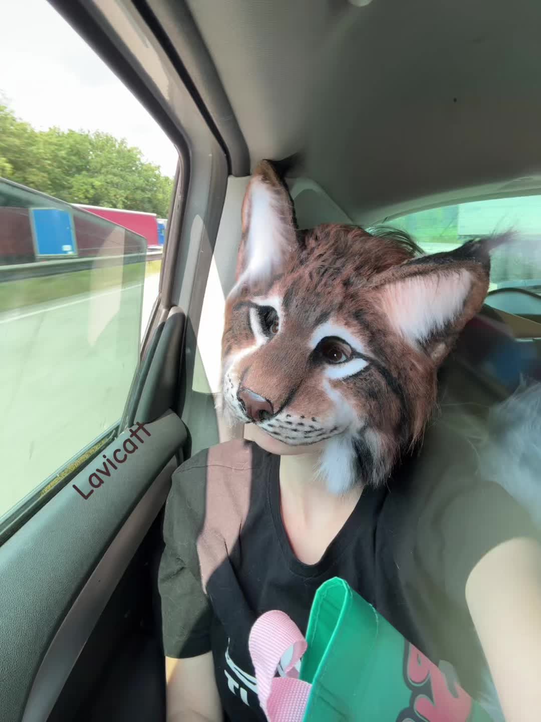 @🐾𝐋𝐚𝐯𝐢🧀