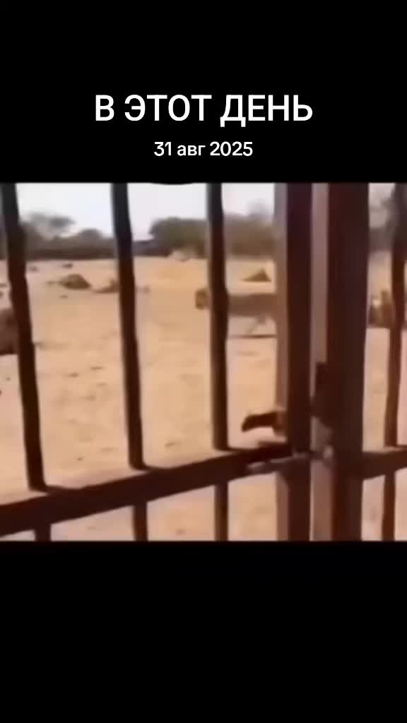 @KRAIZI