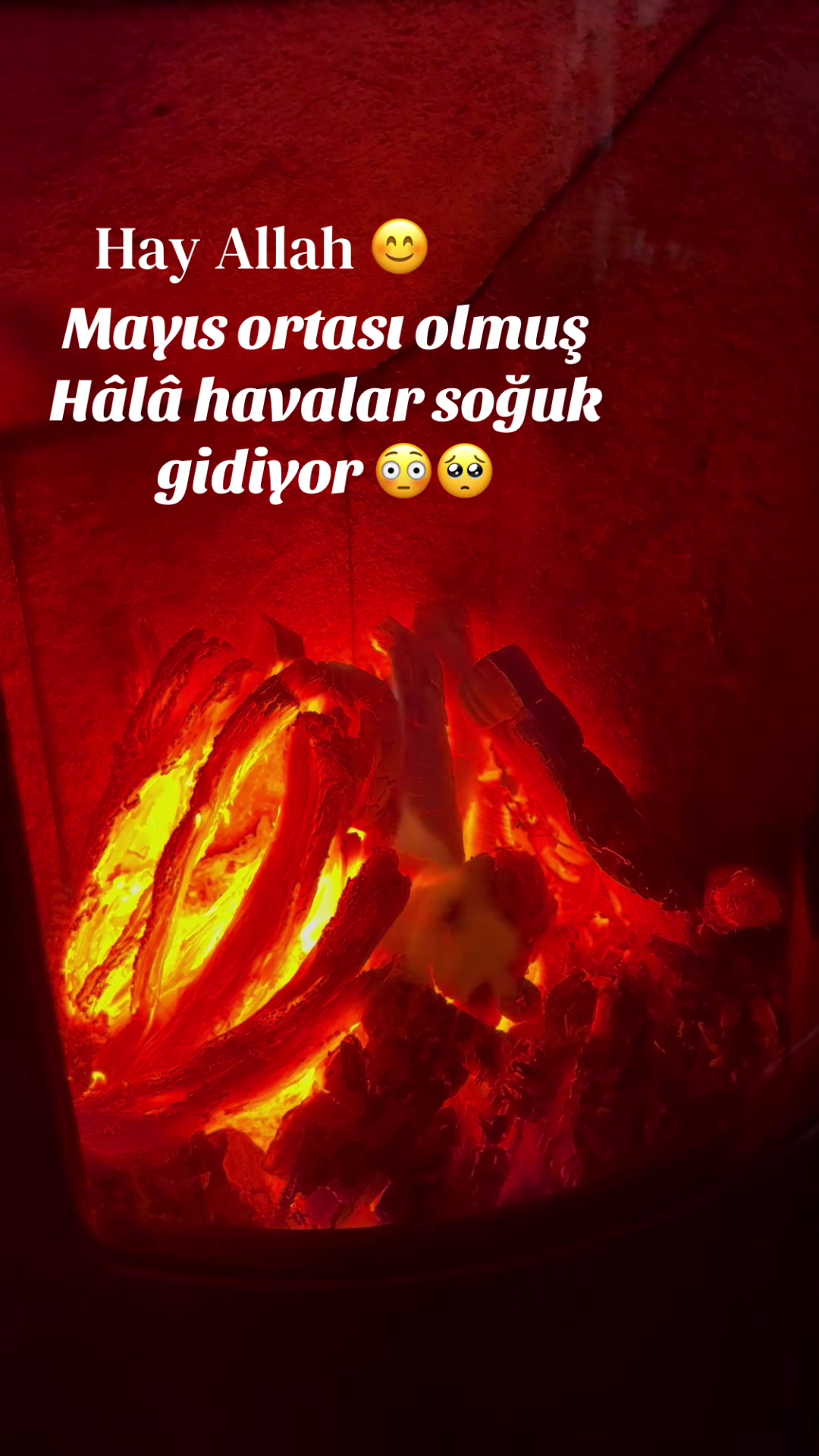 @TANER ❤️ ANK/06