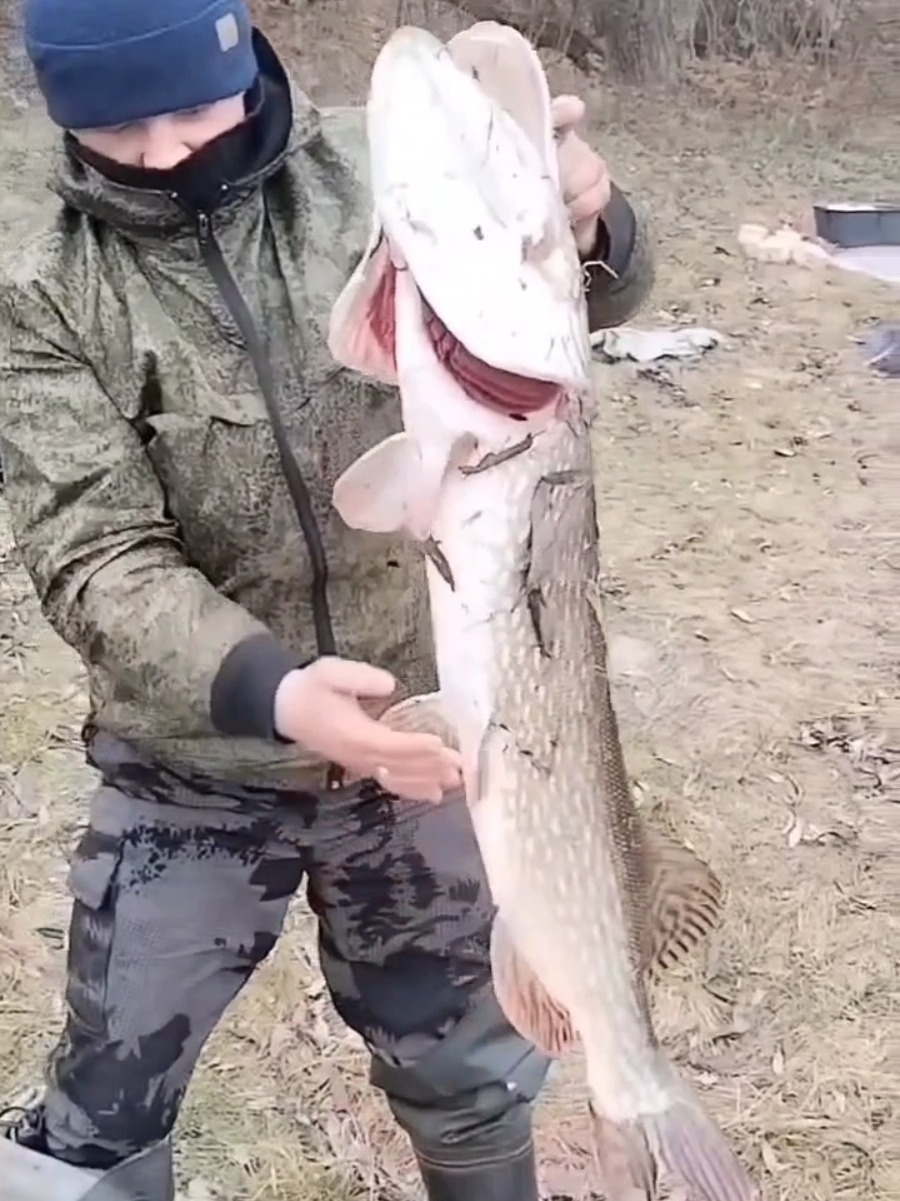 @Шах