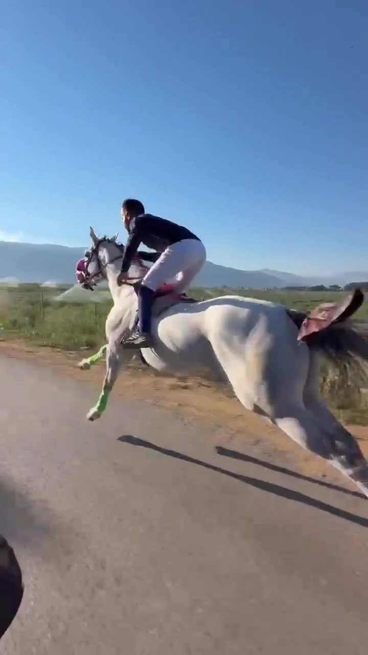@ThunderGallops