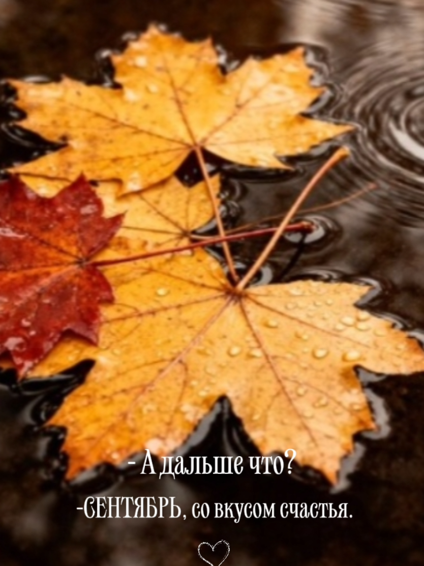 @𝐓𝐚𝐥𝐢𝐲𝐚