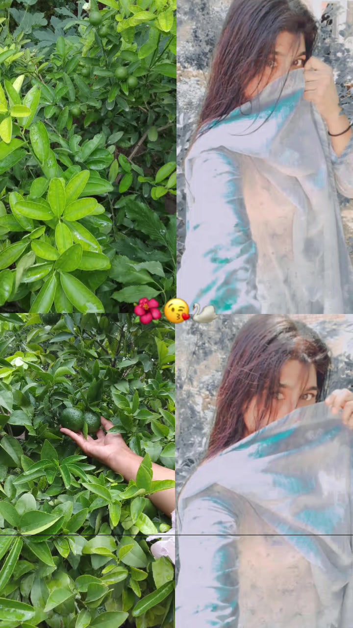 @Zainab 🌹