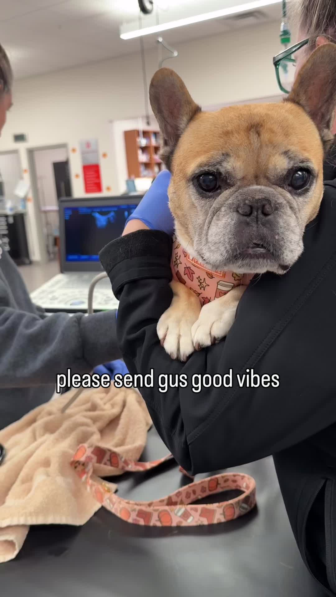 @gusgusinthecity