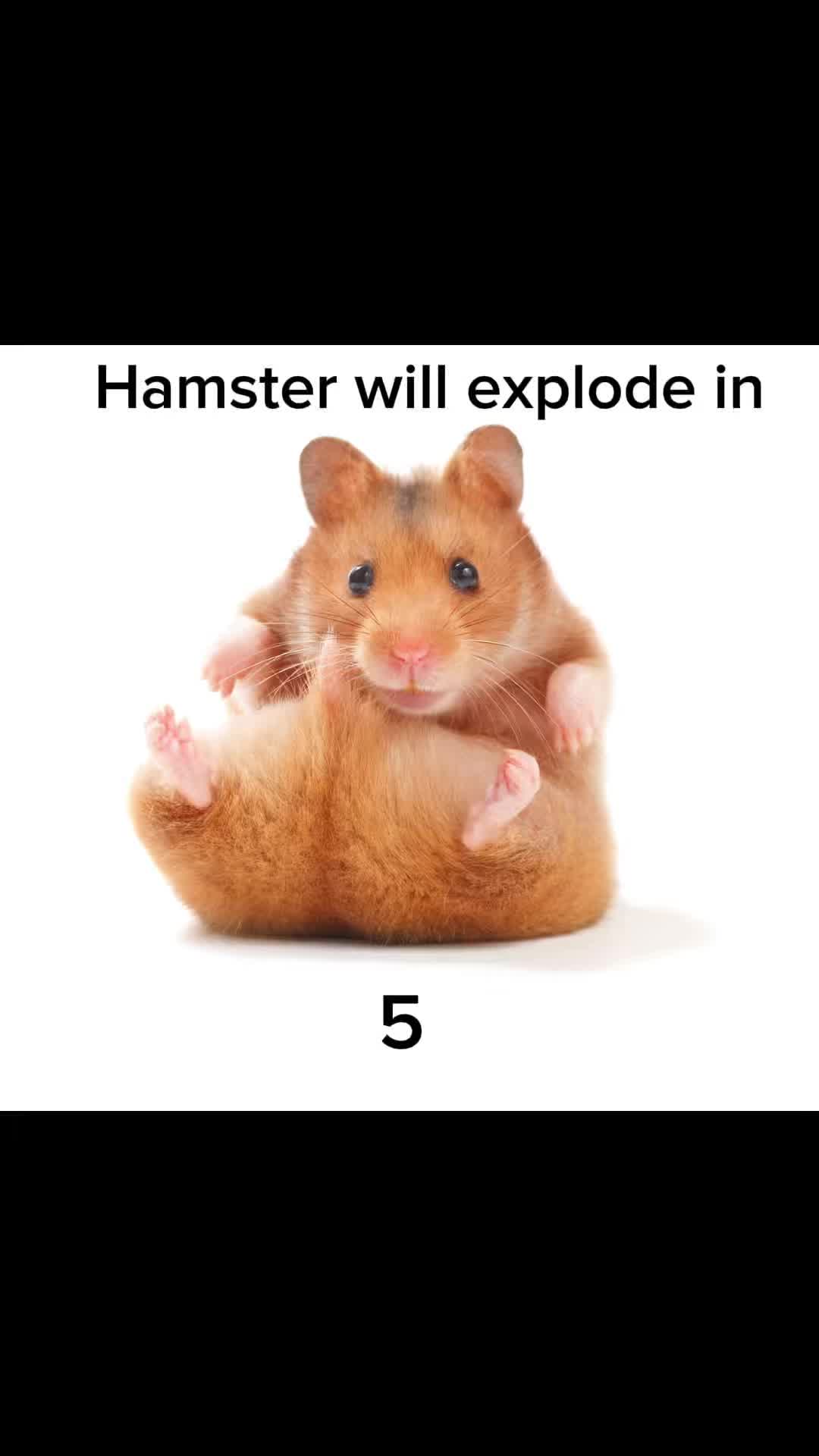 @Chaii_zz