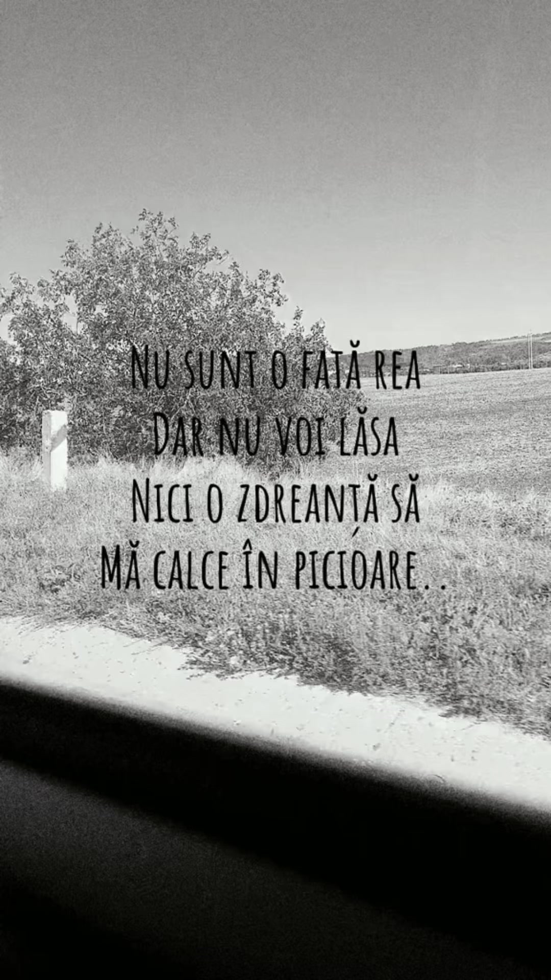 @Cristina Sinicici