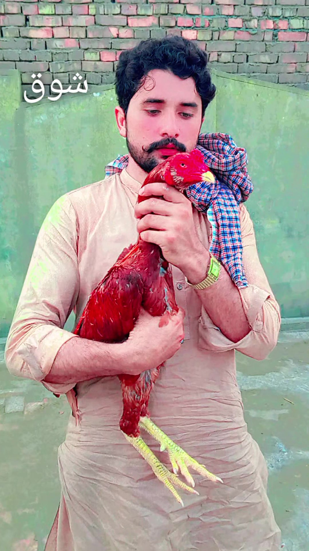 @عرفان ماہی 🇸🇦