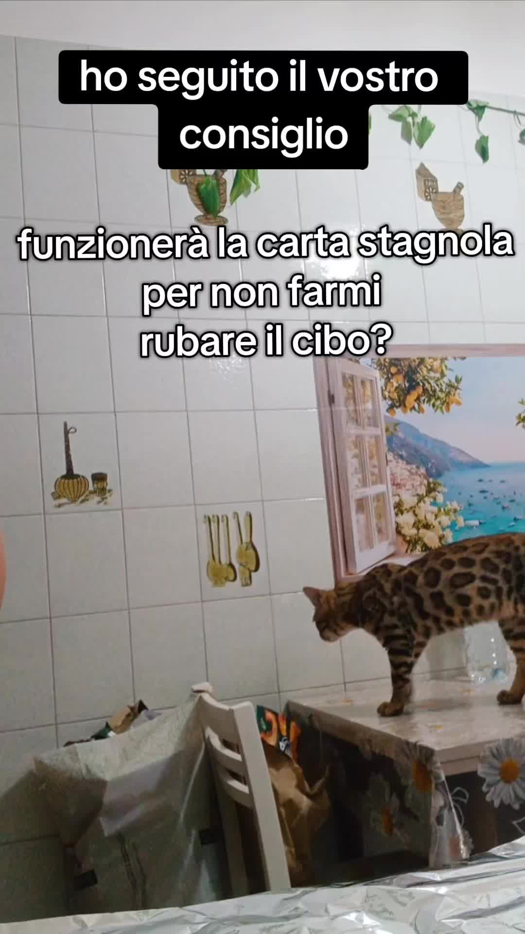 @Rio.supercat