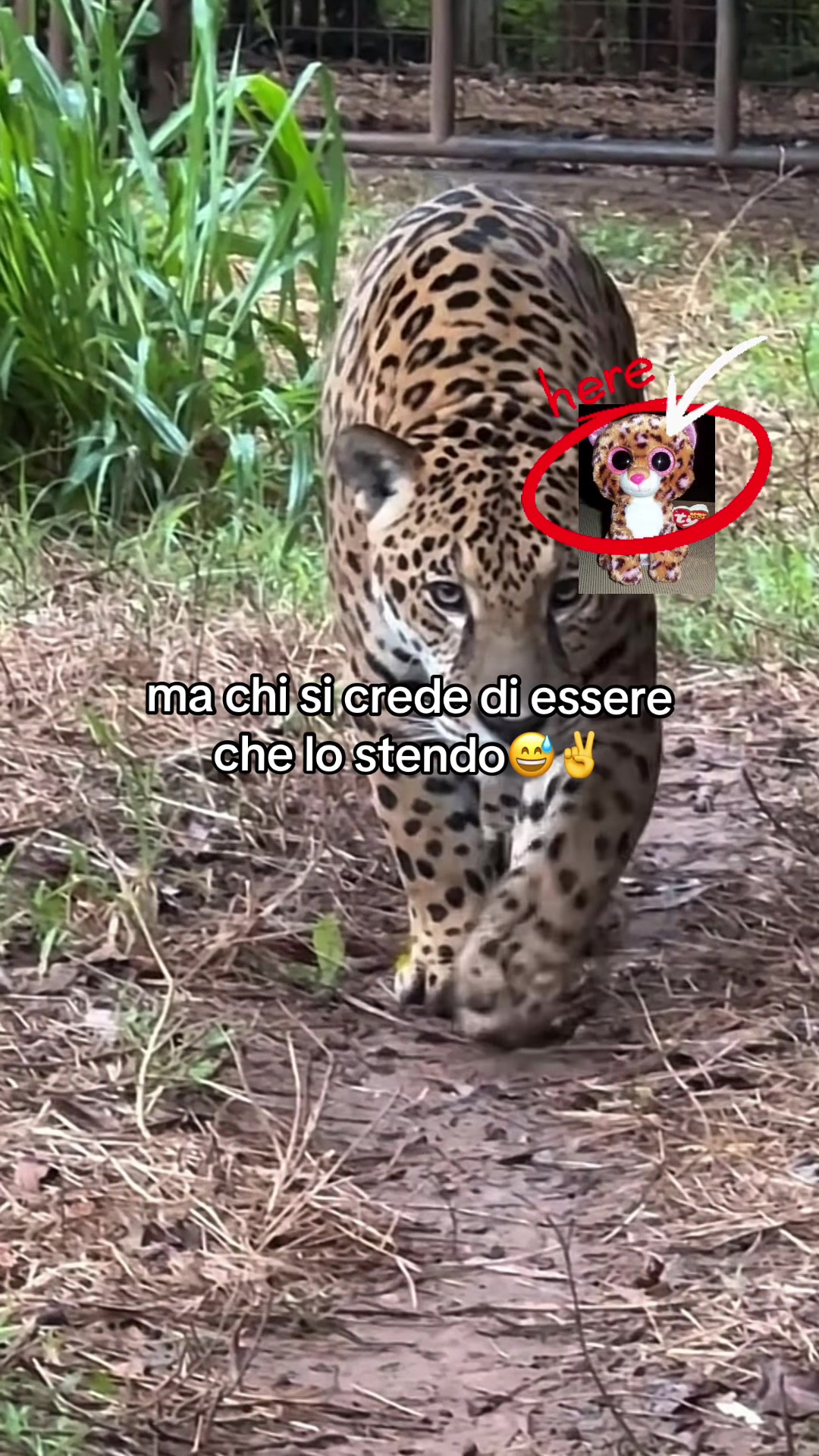 @autisticgirl