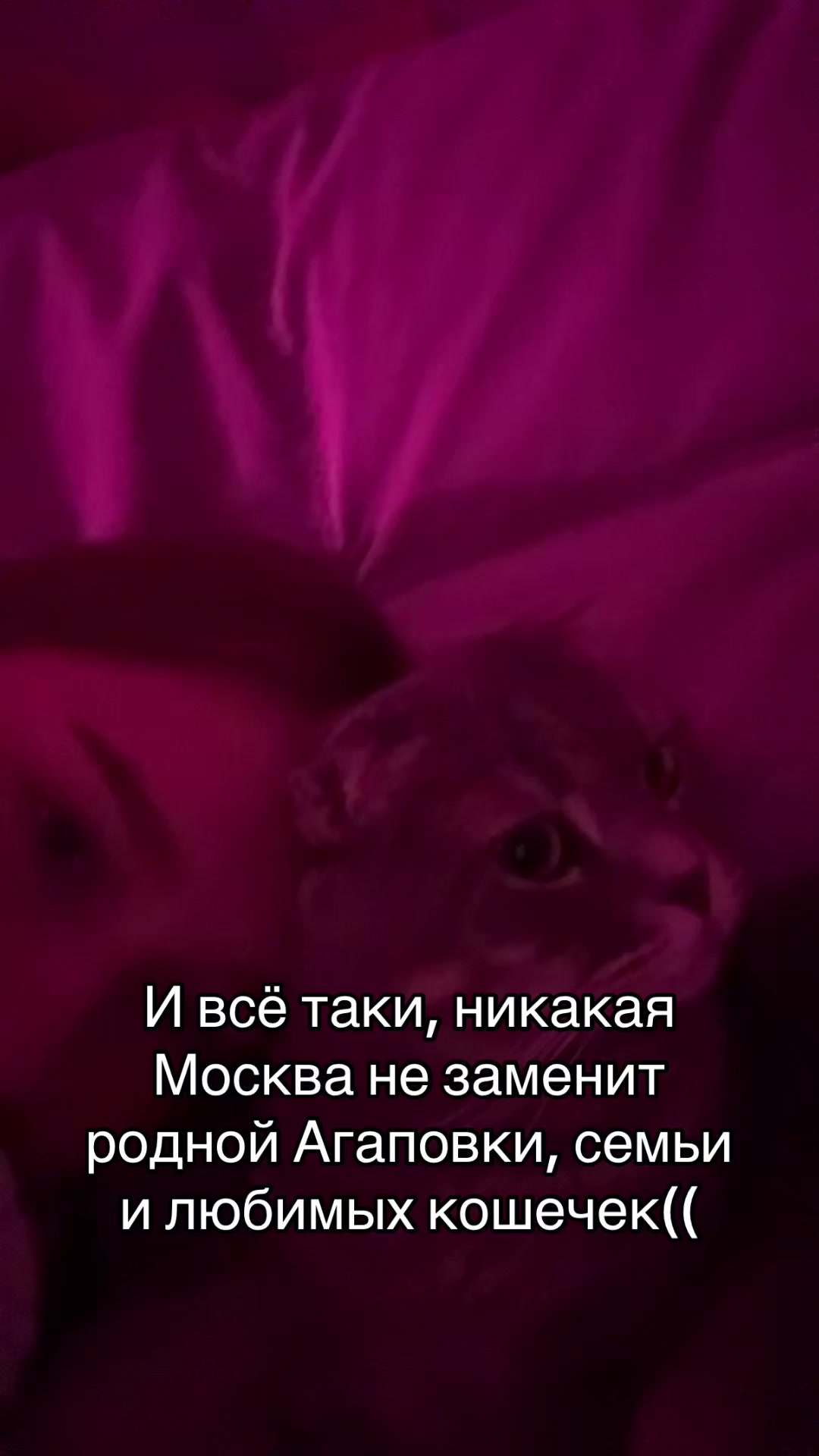 @викулик
