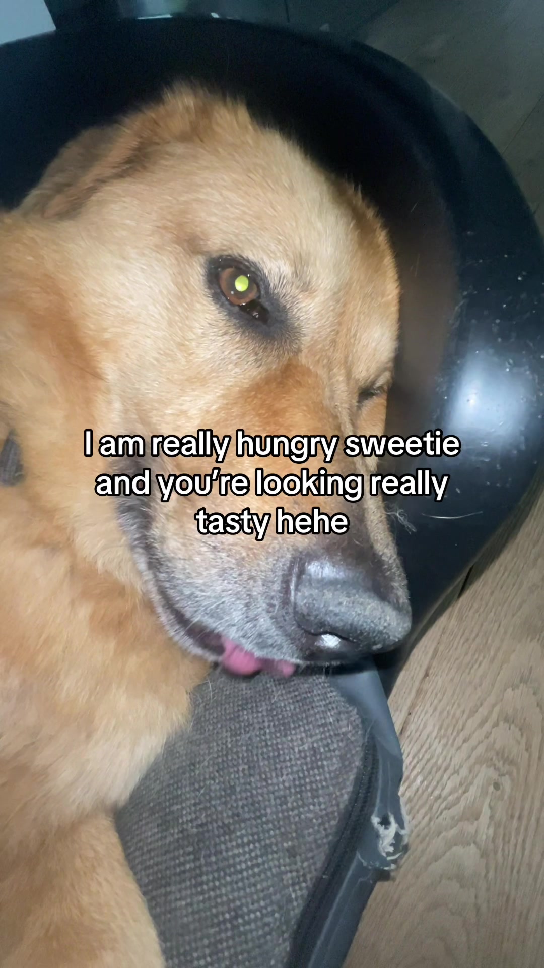 @Neo