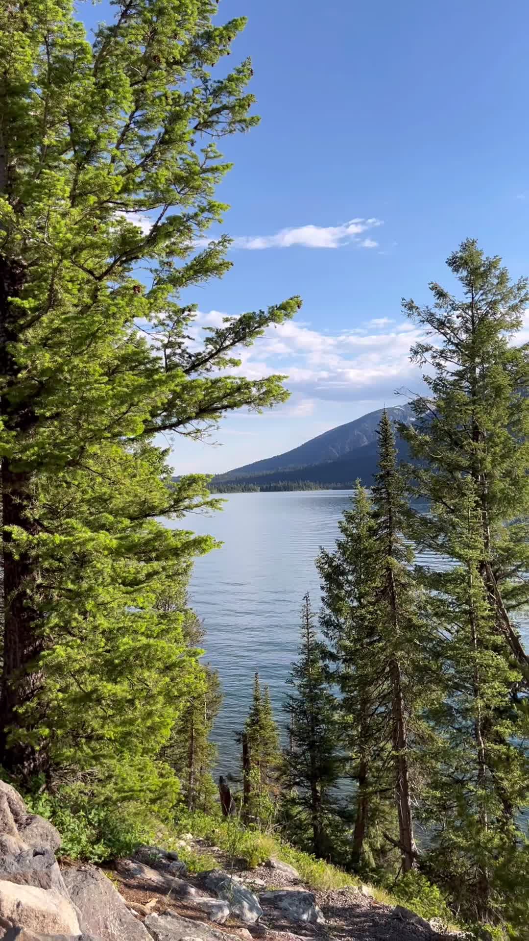 @wolfhillmakers