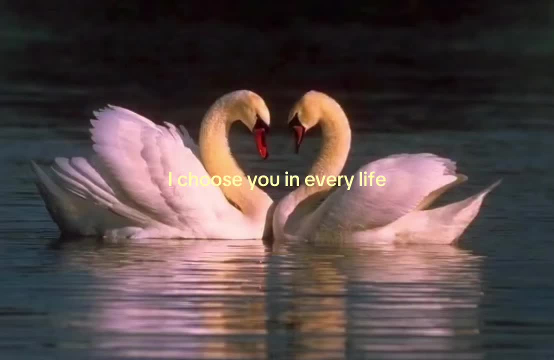 @windedbylove