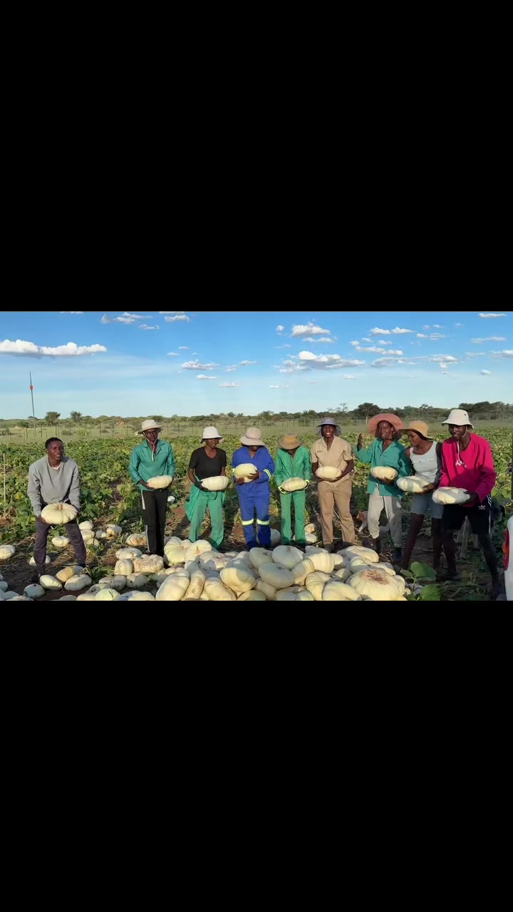 @Kakunaa The Farmer