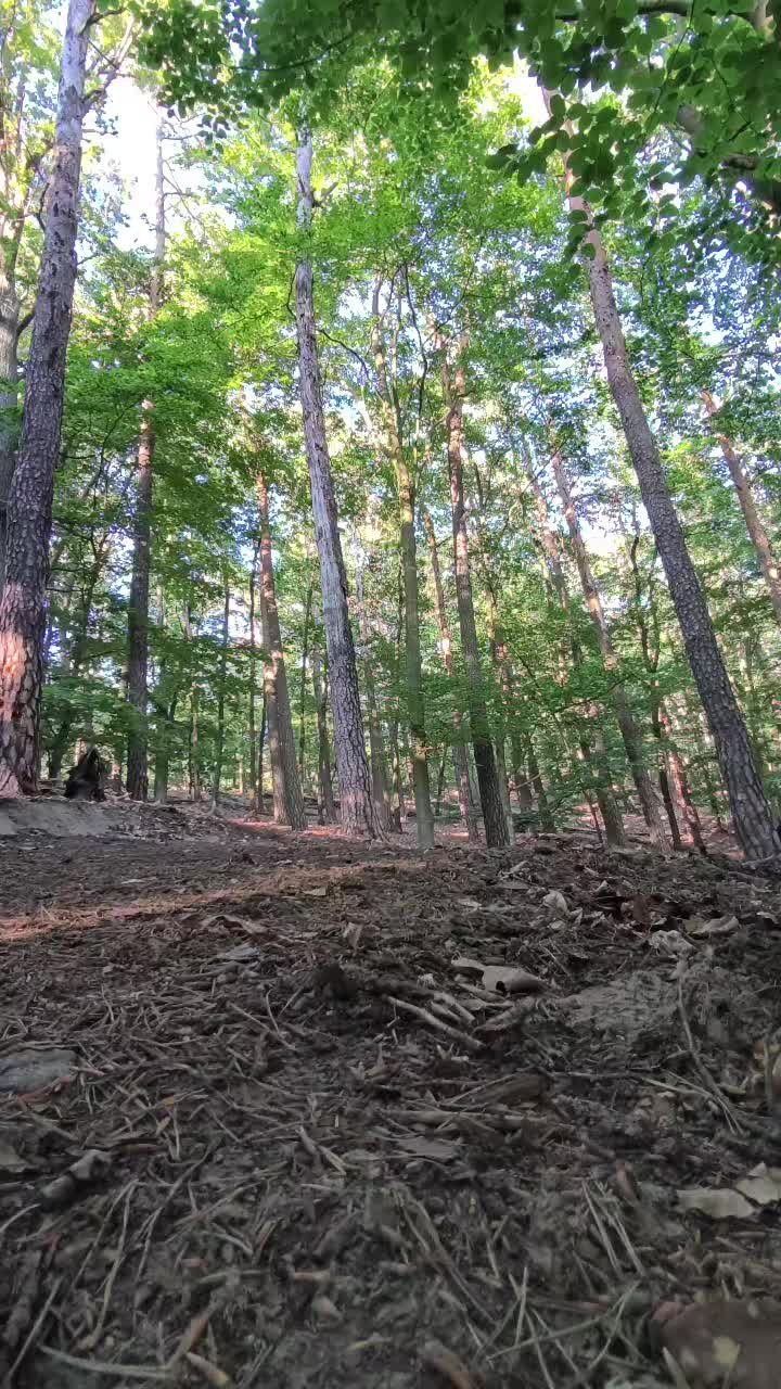 @LX_On_MTB