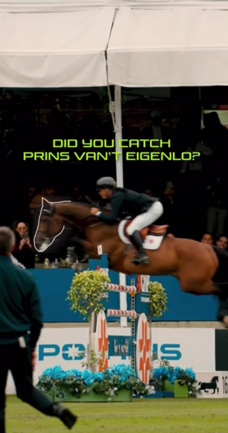 @Major League Show Jumping