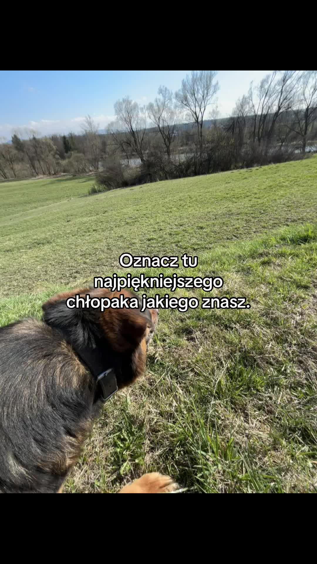 @cytaty