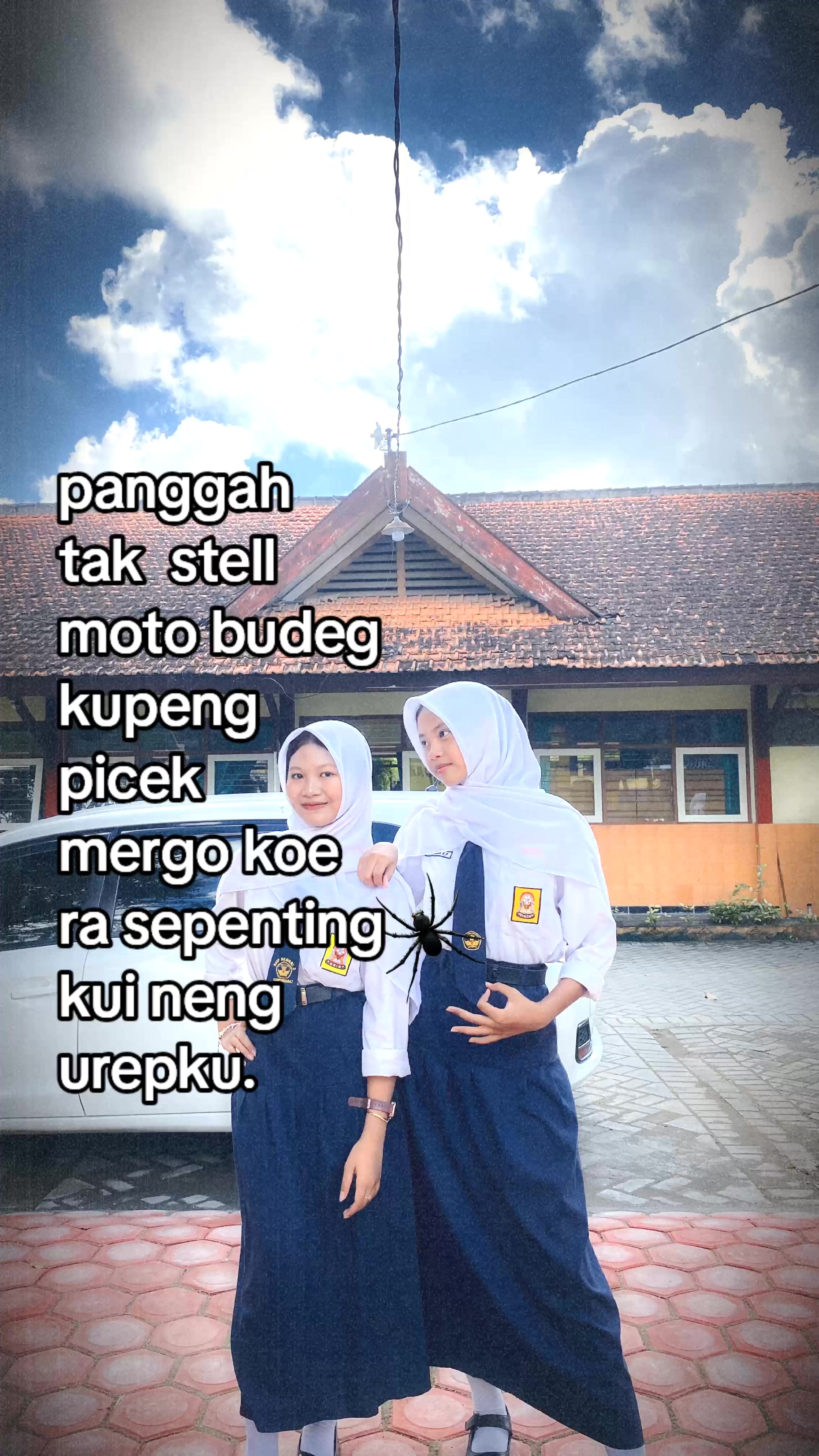 @4elLya🪷