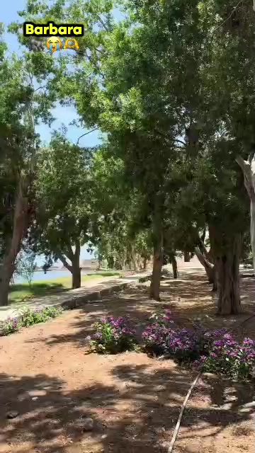 @๐๐๐๐ ๐๐๐๐๐โ๐ค