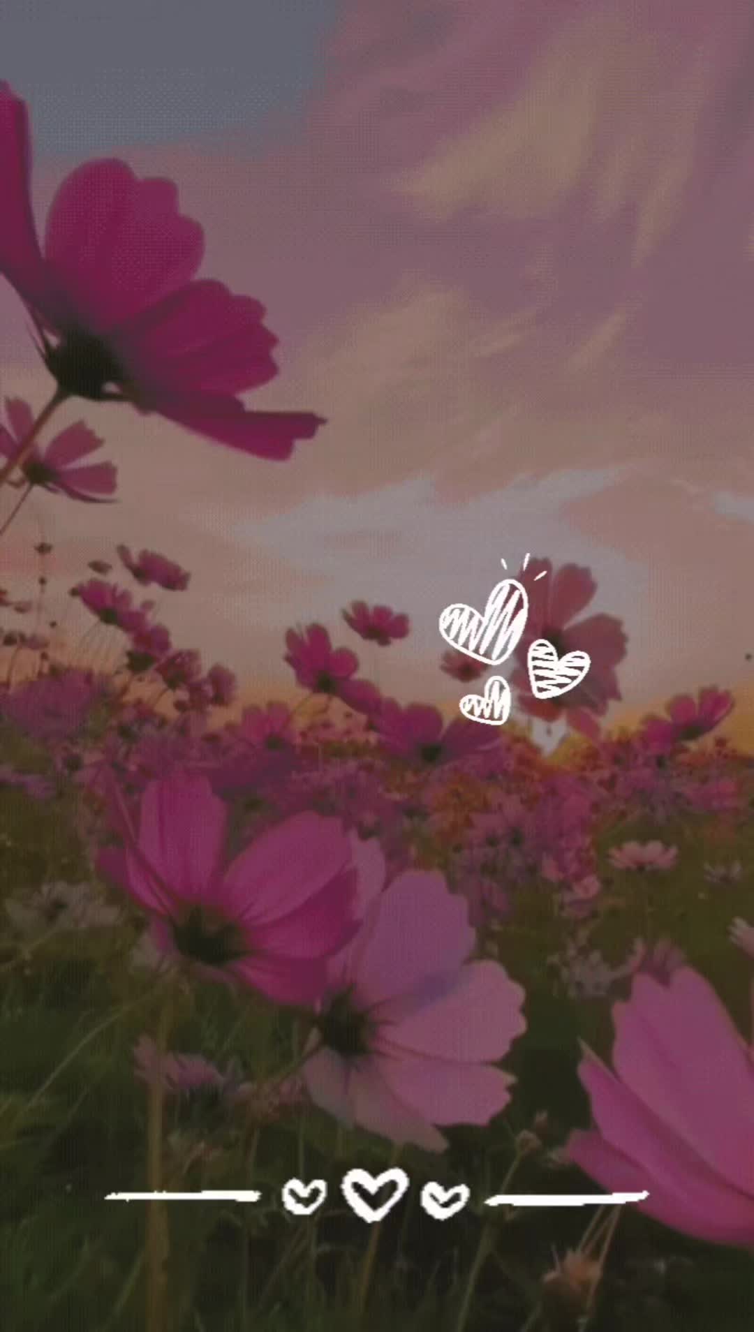 @NeNe