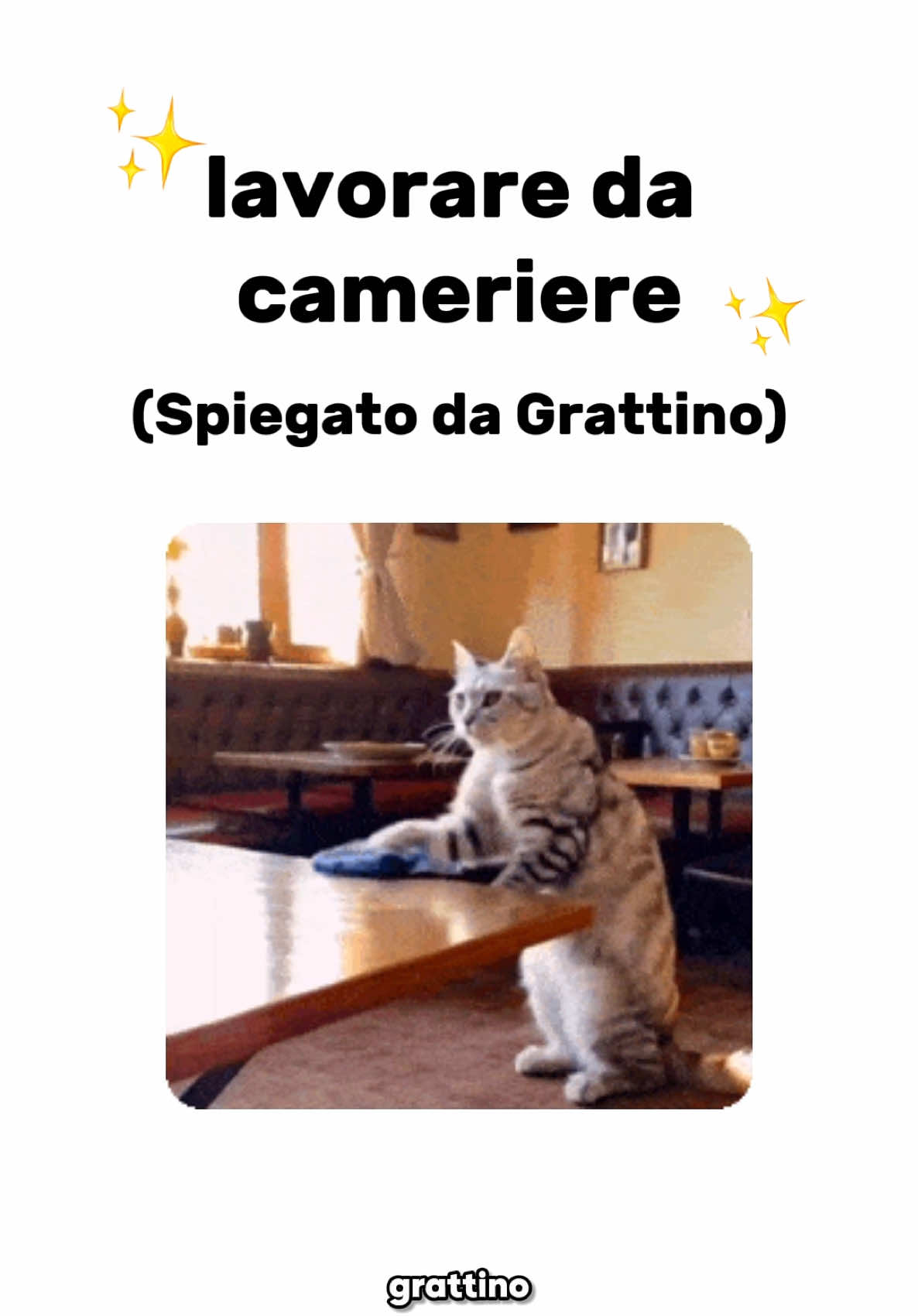 @Grattino😻