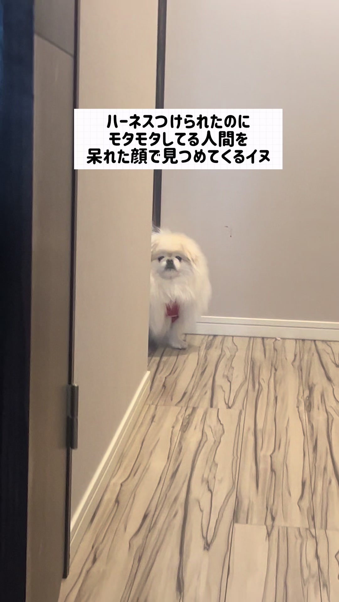 @なんこつ