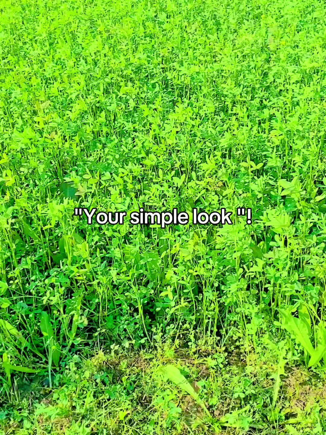 @افنان بلوچ 🦅