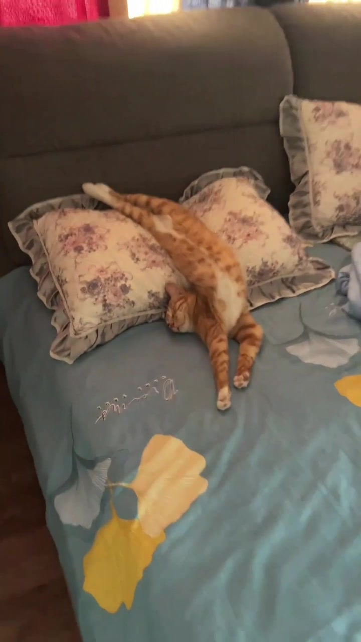 @MoewaiiCat